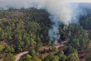 Aerial image of prescribed fire in wooded area