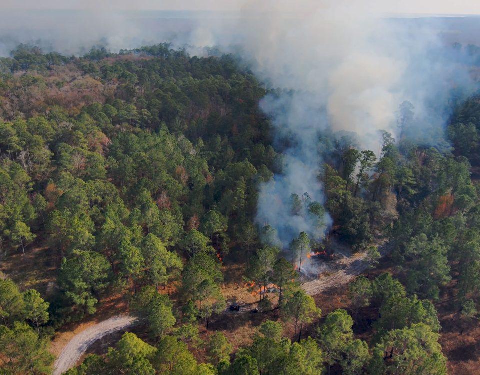 Aerial image of prescribed fire in wooded area