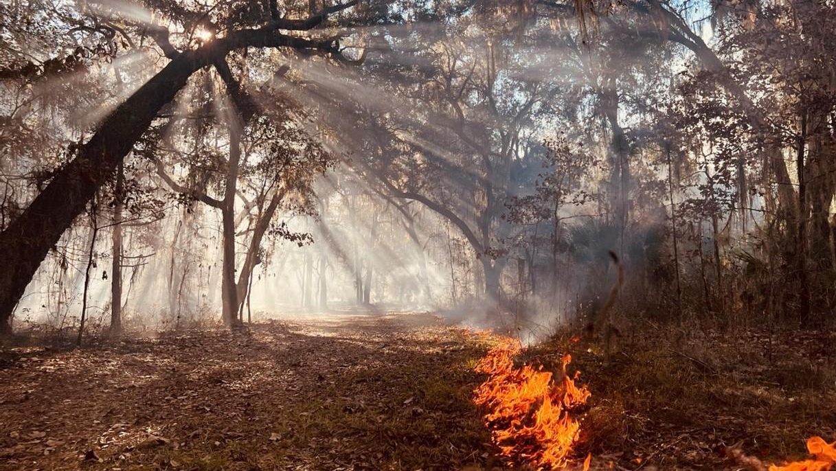 Prescribed Fire Prescribed fire helps reduce the possibility of dangerous wildfire while enhancing land’s environmental quality.