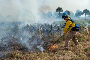 Prescribed fire helps reduce the possibility of dangerous wildfire while enhancing land’s environmental quality.