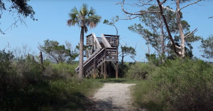 the observation tower located at Stokes Landing Conservation Area