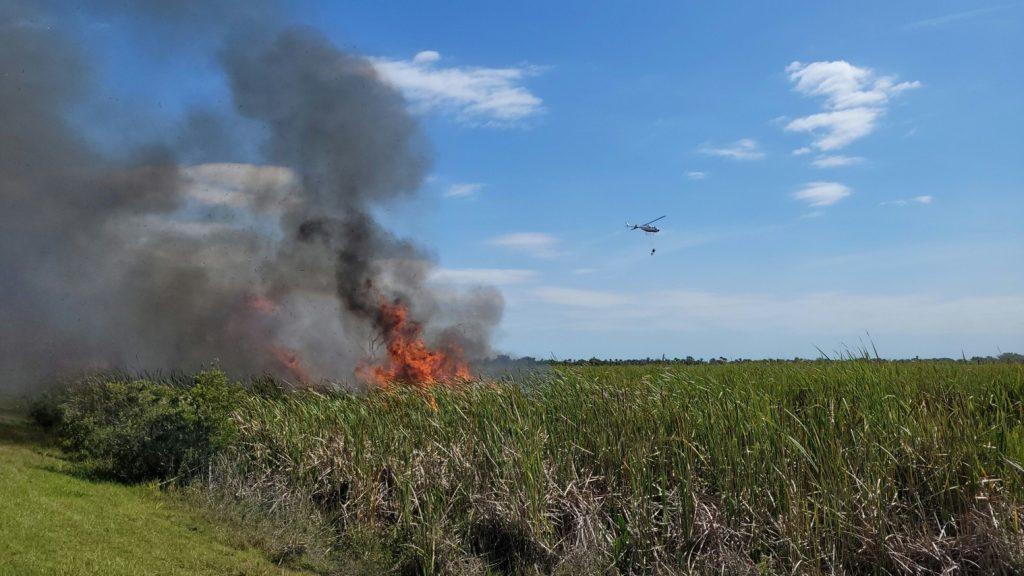 prescribed fire at Three Forks Conservation Area