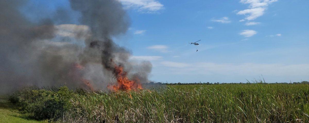 prescribed fire at Three Forks Conservation Area