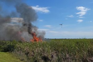 prescribed fire at Three Forks Conservation Area
