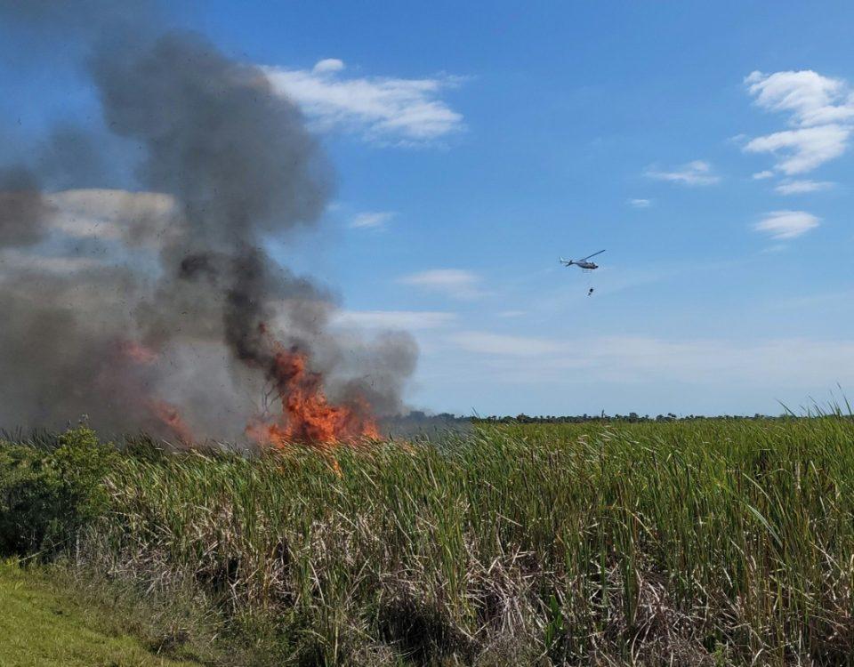 prescribed fire at Three Forks Conservation Area