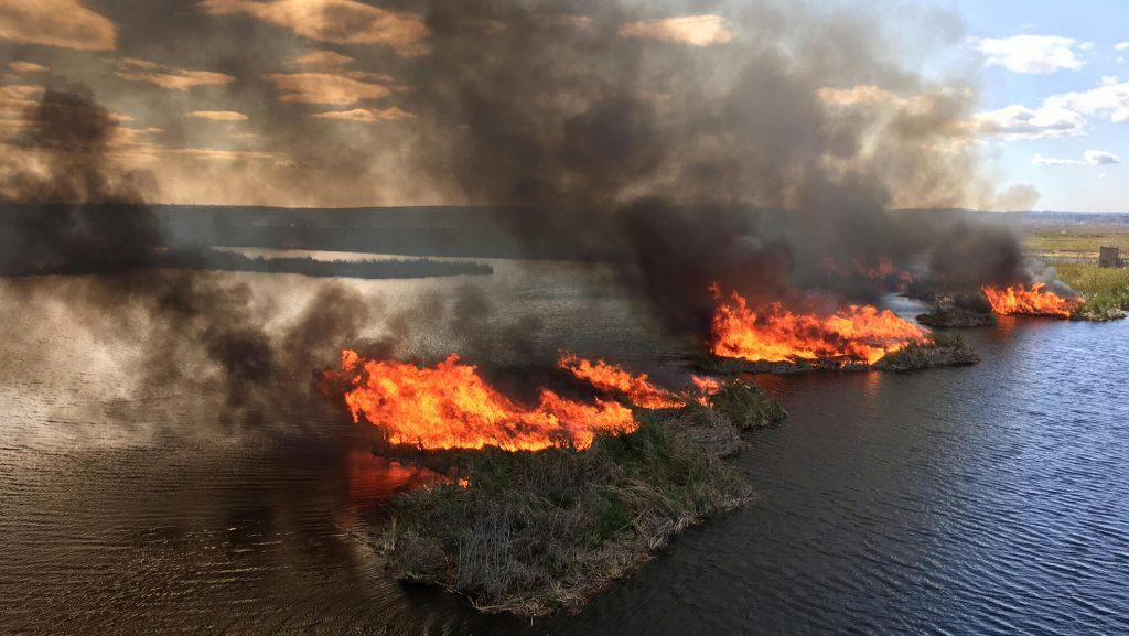 Stretching from Nassau County in the north to Indian River County in the south, the St. Johns River Water Management District follows the course of the majestic 310-mile-long St. Johns River. Spanning 18 counties, the District is committed to acquiring and protecting land that conserves the region’s water resources.