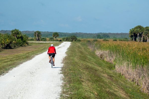 Bicycling on levees at Three Forks Conservation Area Bicycling on levees at Three Forks Conservation Area