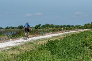Person riding bicycle on public trail with heron
