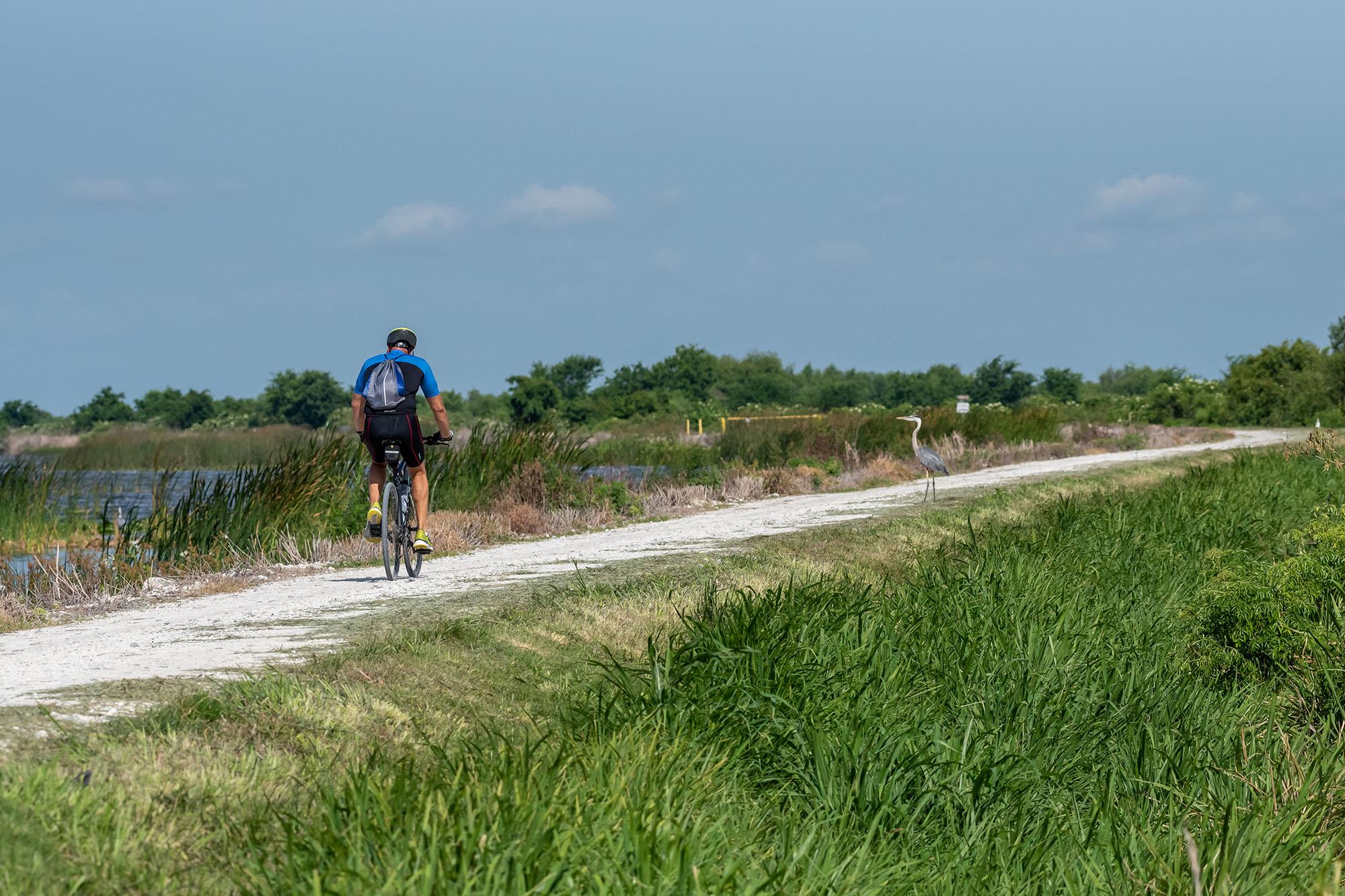 Person riding bicycle on public trail with heron