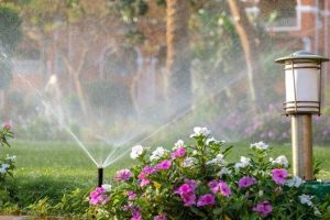 April-Water-Conservation-Month