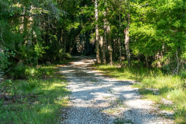 Hal Scott Regional Preserve and Park Wooded trail for recreational purposes