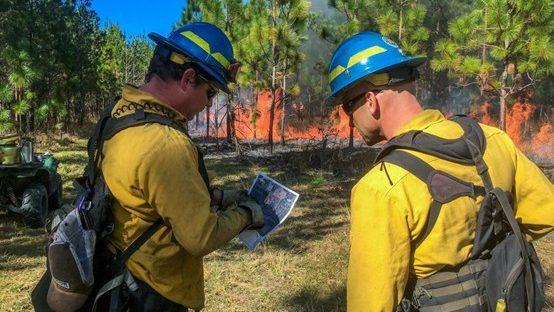 Staff review a map during a controlled burn