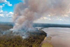 Smoke rising from Lochloosa Wildlife Conservation Area prescribed fire