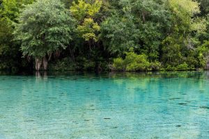 Springs-Protection-Awareness