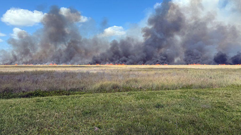 On a warm spring morning—Friday, April 4, 2025—smoke gently curled into the sky above Brevard County. But this wasn’t cause for alarm. In fact, it was a sign of good land stewardship. The District was conducting a 1,380-acre prescribed fire at Three Forks Conservation Area, just west of the Thomas O. Lawton Recreation Area. This wasn’t a wildfire. It was a fire with a purpose—a carefully planned, intentionally set burn aimed at protecting both nature and nearby communities.