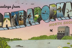 Illustrated artwork for Lake Apopka North Shore