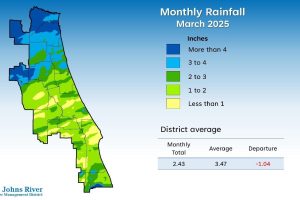 March-Rainfall