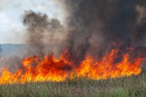 ThreeForksPrescribeFire