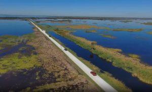 Aerial view of cars traveling down road in wetlands