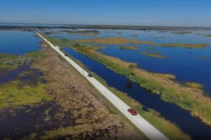 Aerial view of cars traveling down road in wetlands