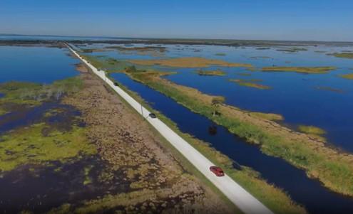 Aerial view of cars traveling down road in wetlands