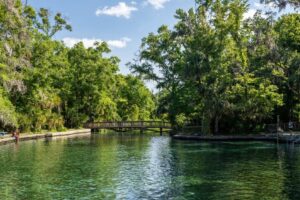 Wekiwa-Springs