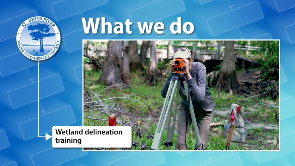 When people hear the word “wetland,” they might picture a murky swamp buzzing with mosquitos. But wetlands are much more than that—they're complex, vital ecosystems that play a major role in natural resilience. 

For staff at the St. Johns River Water Management District, understanding and protecting wetlands begins with a process called wetland delineation—determining where a wetland starts and ends. Think of it like tracing the outline of a giant puddle, except the edges shift with the topography, and the clues may be hidden in the soil or the plants growing there.