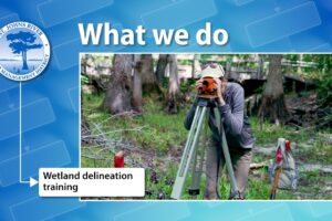 When people hear the word “wetland,” they might picture a murky swamp buzzing with mosquitos. But wetlands are much more than that—they're complex, vital ecosystems that play a major role in natural resilience. 

For staff at the St. Johns River Water Management District, understanding and protecting wetlands begins with a process called wetland delineation—determining where a wetland starts and ends. Think of it like tracing the outline of a giant puddle, except the edges shift with the topography, and the clues may be hidden in the soil or the plants growing there.