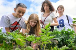 Students from Wedgefield School in Orange County visited 4Roots Farm to learn how its sustainable agricultural practices help conserve water and protect the environment—an experience made possible through the Blue School Grant Program.