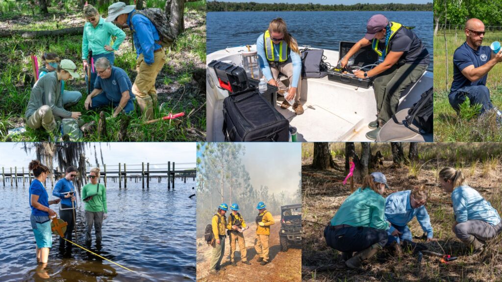 Conservation Professionals Week, taking place Aug. 25-29, shines a spotlight on the people who power conservation. Efforts like wetland restoration, protecting wildlife habitats, prescribed burns, invasive species removal and monitoring water quality may come to mind when you think about conservation. But behind these initiatives is a diverse group of dedicated professionals working to make that happen.