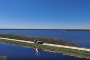 The Lake Apopka Wildlife Drive will be closed on Aug. 8, 15 and 22 for slope-stabilization work.
