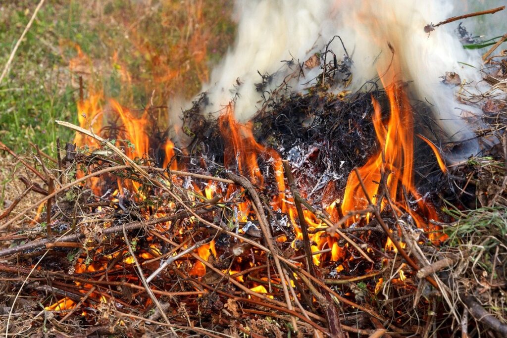 Small brush fire