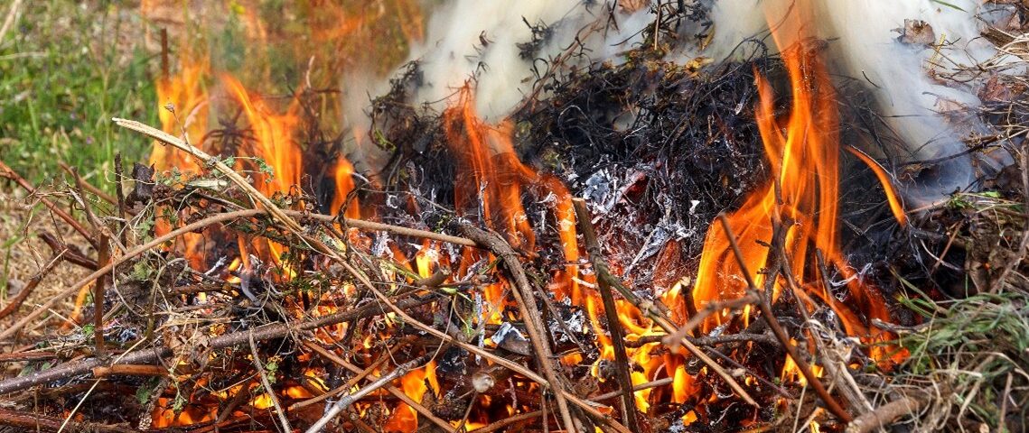 Small brush fire