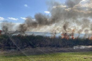 Prescribed fire helps reduce the possibility of dangerous wildfire while enhancing land’s environmental quality.