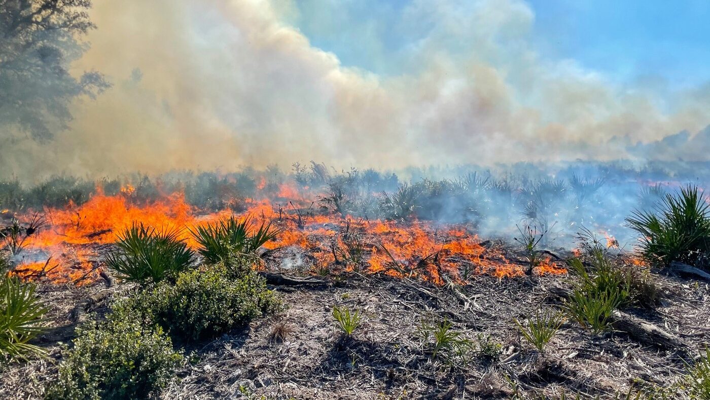 Prescribed fire at Lake Monroe Conservation Area