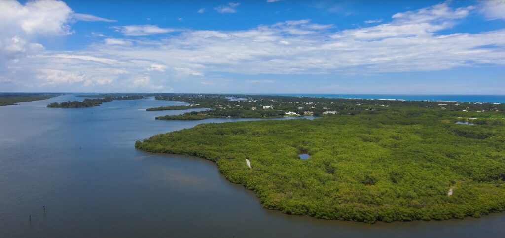 This National Estuaries Week (Sept. 20–27), the St. Johns River Water Management District joins partners and communities in recognizing the importance of one of Florida’s most unique ecosystems, the Indian River Lagoon (IRL). Stretching 156 miles along the east coast, the lagoon supports more than 4,300 species of plants and animals and provides countless environmental, recreational, and economic benefits.