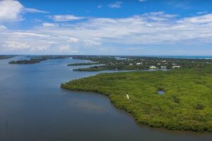This National Estuaries Week (Sept. 20–27), the St. Johns River Water Management District joins partners and communities in recognizing the importance of one of Florida’s most unique ecosystems, the Indian River Lagoon (IRL). Stretching 156 miles along the east coast, the lagoon supports more than 4,300 species of plants and animals and provides countless environmental, recreational, and economic benefits.