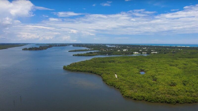 National Estuaries Week Image