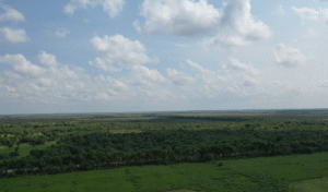 Aerial view of the C-10 water management area