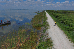 A cyclist rides along the Lake Apopka Loop Trail on the Lake Apopka North Shore as anglers fish nearby on Lake Apopka.