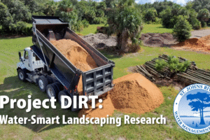 Keeping your lawn green doesn’t have to take a lot of water, but exactly how much is really needed to keep your landscape looking healthy? That very question sparked Project DIRT, short for Doing It Right, a partnership between the St. Johns River Water Management District (District), the University of Florida (UF), Quality Trees and Shrubs, and Life Soils. Together, they’re studying how drought-tolerant landscape plants perform in different soil types and under limited irrigation to determine how little water healthy landscapes truly need.