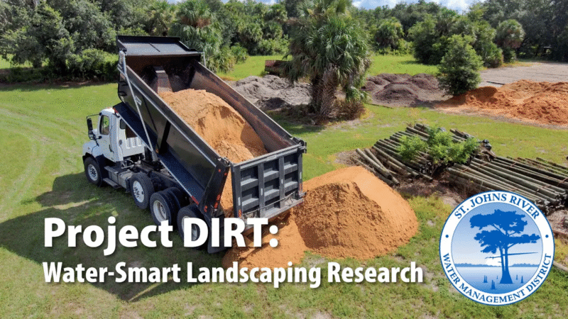 Project-DIRT-thumbnail