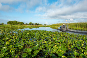 An airboat travels across the Blue Cypress Conservation Area near the State Road 512 boat ramp, where visitors can enjoy boating, fishing and scenic views of one of the District’s premier recreation sites.