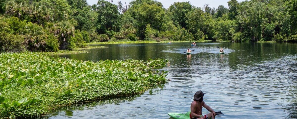 Kayakers paddle on the Wekiva River, where it meets Wekiwa Spring.