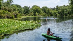 Kayakers paddle on the Wekiva River, where it meets Wekiwa Spring.