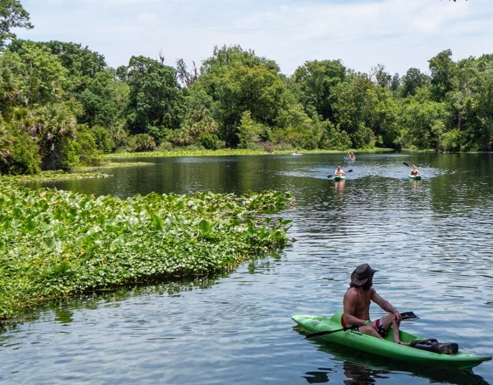 Kayakers paddle on the Wekiva River, where it meets Wekiwa Spring.