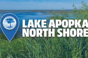 It’s easy to see why Lake Apopka North Shore is the St. Johns River Water Management District’s most visited and beloved public land. Spanning nearly 20,000 acres across Lake and Orange counties, this remarkable landscape is both a restoration success story and a haven for outdoor adventure.
