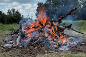 Prescribed fire and pile burns help reduce wildfire risk and improve habitat by safely removing excess vegetation and storm debris.