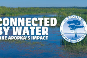 Submerged aquatic vegetation (SAV) serves as critical living infrastructure in the Lower St. Johns River, stabilizing sediments, filtering water and providing food and habitat for wildlife ranging from turtles to manatees. The condition of these underwater plant communities, particularly eelgrass (Vallisneria), serves as a sensitive indicator of ecological health across the Lower St. Johns River Basin, which spans Baker, Clay, Duval, Nassau, St. Johns, Putnam and Flagler counties and parts of Volusia, Alachua and Bradford counties.