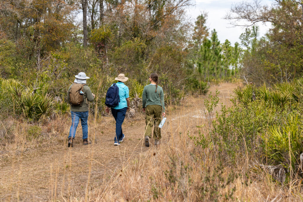 February is Florida Hiking Trails Month, and it’s the perfect time to lace up your shoes and head outdoors. With mild weather, hiking offers a refreshing way to get exercise, enjoy wildlife and experience a quieter side of Florida.